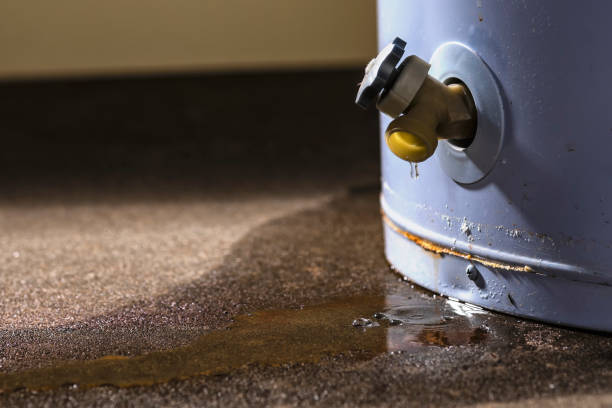 Best Water damage restoration near me  in Vander, NC