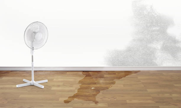 Best Residential water damage restoration  in Vander, NC