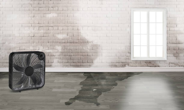 Best Flood damage cleanup  in Vander, NC